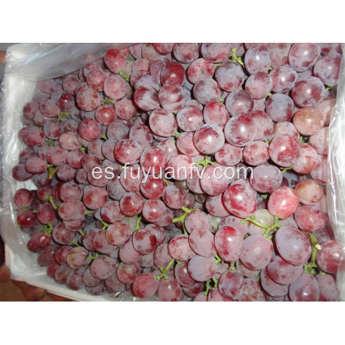 Nueva cosecha de uva roja fresca y de buena calidad